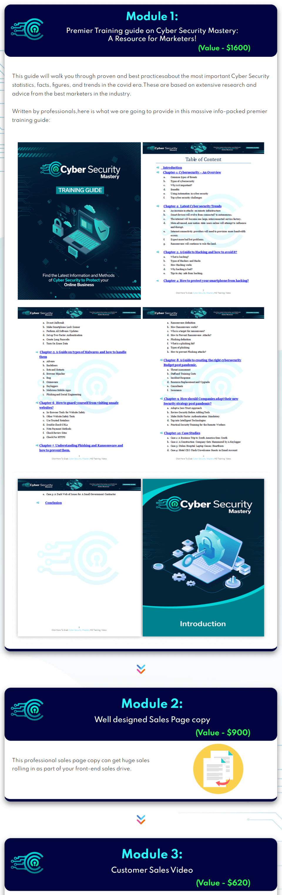 Cyber Security Mastery PLR Review - Should I Buy This Bundle?